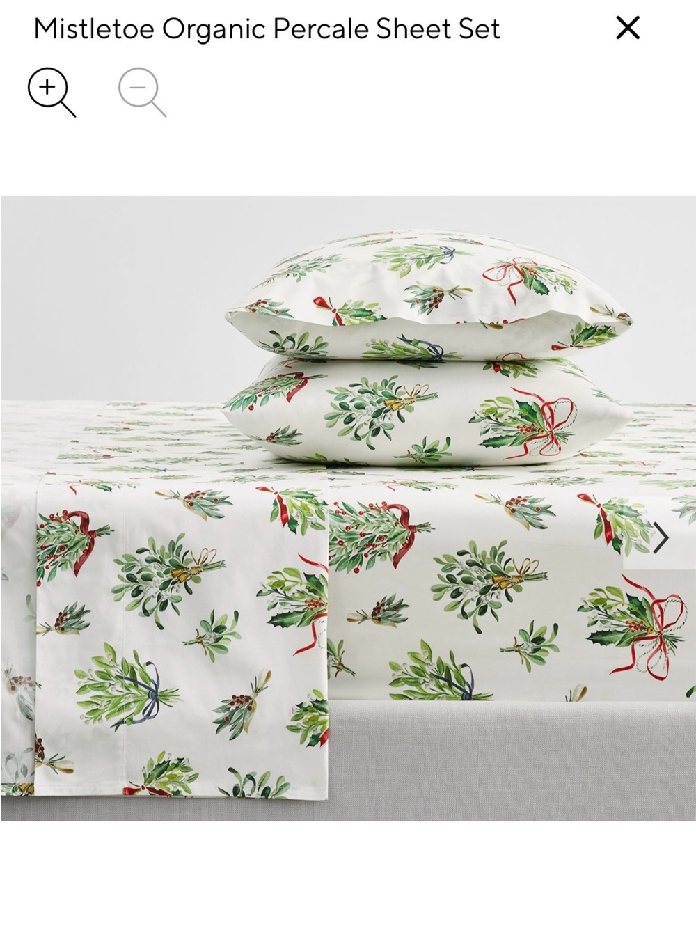 Pottery Barn Mistletoe Organic Sheet Set